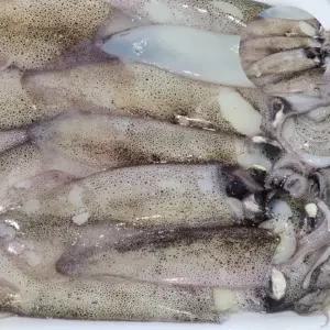 냉동 총알한치 3kg 오징어통찜 냉동한치 한치통찜
