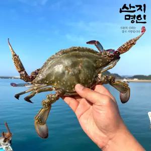 [산지명인] 태안 자연산 숫꽃게 2kg 6-10미 제철 활꽃게 빙장포장