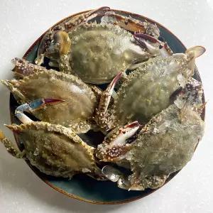 제철 활 숫꽃게 1kg 속이 꽉찬 서해안 급냉 냉동 