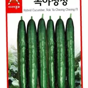 유어샵 녹야청청 종자 씨앗 모종 40립 종묘 오이