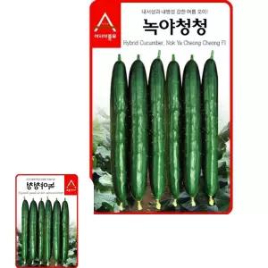 마이한 오이씨앗 종자 녹야청청 종묘 씨 모종 40립