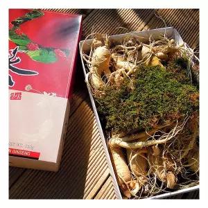 6년근 난발삼(중) 750g(11에서13뿌리)-2박스