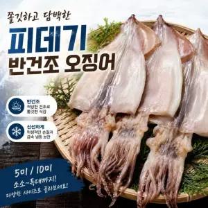 쫄깃한 피데기 반건조 오징어 10미