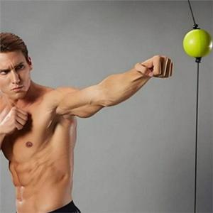 복싱 펀칭 볼 스피드 펀칭 볼 흡착식 스트레스 가정용 해소 훈련 권투 트레이닝 줄넘기 가벼운 타격 스킬