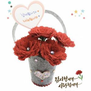 글로벌이지 뚝딱 펠트 카네이션 꽃바구니 만들기 10인용 세트