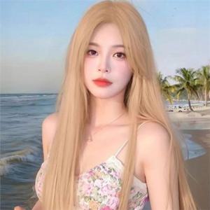 여성 긴 생머리 가발 여성 금발 가발 스트레이트 코스프레 긴머리 파티 고온사 전체 헤어 패션