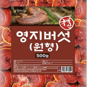 영지버섯 500g 건재 OM