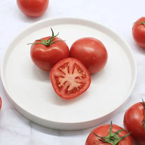 완숙토마토 5kg 쥬스용