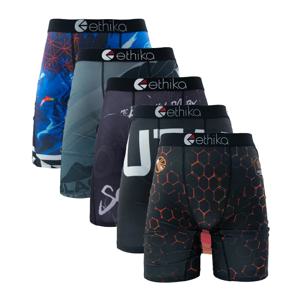 ETHIKA 5Pcs 남성 속옷 통기성 메쉬 가랑이 남성 수영 속옷 플러스 사이즈 L-3XL 남성 팬티 섹시한 남성 Boxershorts