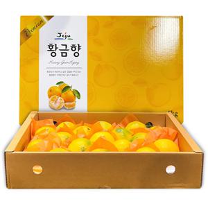 [더조은] 제주 황금향 선물세트 1.5kg (중대과 8과 내외) 실중량