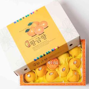 [더조은] 제주 황금향 선물세트 2.5kg (중소과 16과 내외) 실중량