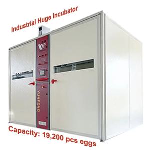 YFDF-192 대형 대용량 CE 인증 자동 계란 부화기 19200개 계란 AC/DC 부화기 가금류 농장용 오리용