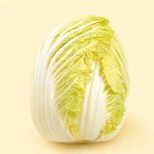 해남 알배추 쌈배 발효해초재배 5kg / 10kg