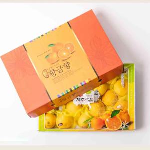 [더조은] 제주 황금향 선물세트 4.5kg (중대과 20과 내외) 실중량