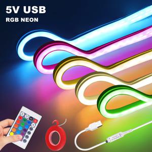 5V USB RGB LED 네온 스트립 1M 2M 3M 5M 유연한 LED 스트립 (리모컨 포함) 방수 네온 실리콘 리본 접착 테이프