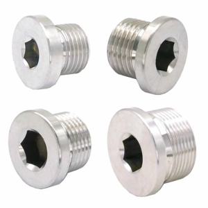 M8/M10/M12/M14/M16/M18/M20/M22/M24/M27/M30/M33/M36 플랜지 육각 소켓이 있는 수 304 스테인레스 스틸 카운터싱크 엔드 플러그