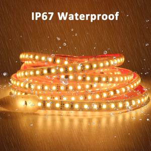 220V LED 스트립 라이트 SMD2835 120LED/m 방수 테이프 램프 (EU 플러그 포함) 1M 2M 3M 5M 10M 15M 20M 마당 장식 조명