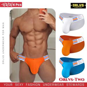 1/2/3/4 PCS Mens Brief Underwears 통기성 빅 V 하이 포크 트라이앵글 바지 디자인 남성용 팬티 용 스트라이프 탄성 밴드
