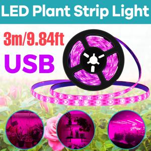 LED 식물등 풀 스펙트럼 USB 식물 재배등 스트립 0.5m 1m 2m 2835 칩 LED 식물램프 (식물, 꽃, 온실, 수경재배용)
