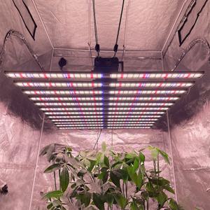 2025년 최신형 실내 LED 식물재배등 바 700W 860W 1100W 1300W LM301H EVO 수경재배 램프 UV IR 식물 성장용 (그로우 텐트, 채소 재배용)