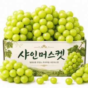 (50박스특가) 고당도 샤인머스켓 꿀과즙 샤인머스캣