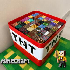 Minecraft 마인크래프트 TNT 마그네틱 자석 블록 500P 입체 조립 피규어50개+무기소품50개 수납통 포함