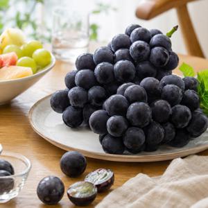 국산 거봉 포도 산지직송 제철 생과일 알큰포도 1KG(2송이)