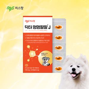 [씨스팡] 닥터 멍멍팔팔 J 1박스(20캡슐) 반려견 관절 종합 영양제 초록입홍합오일 햄프씨드오일