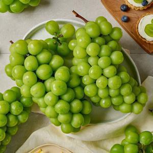 달콤한 망고포도 샤인머스켓 특품 1kg(1-2수)