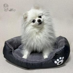 애견쿠션 강아지 사각 방석 고양이 쿠션 극세사 애견 반려견