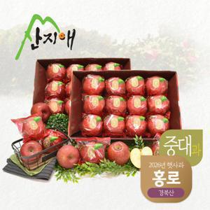 [TV상품]산지애 홍로 사과 5.4kg (2.7kg*2박스)