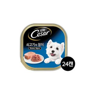 시저 강아지캔 1세이상 쇠고기와 참치 100g 24개