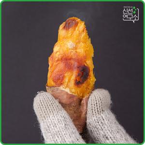 [신선연구소] 해남 햇 꿀밤고구마 3kg 특상급(100~300g)