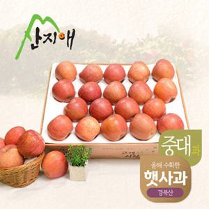 산지애 알뜰햇사과(중대과) 4.5kg*2박스 (30-42과)