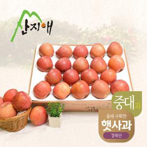 [2026 햇사과] 산지애 알뜰햇사과(중대과) 4.5kg (15-21과)