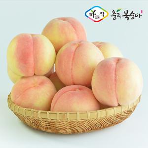 [농할] 국내산 충주 하늘작 햇 백도복숭아 2.5kg 2박스(총 5kg 박스당 7과∼11과)