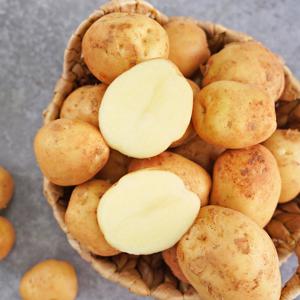 [농할][전라도 청년] 프레시 국내산 흙감자 특 5kg