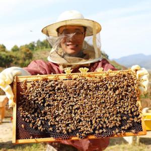 [팔도양식]국산 아카시아꿀 2.4kg 자연 잡화꿀 선물용 자연 벌꿀 (42010671)