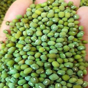 국내산 통녹두 1kg