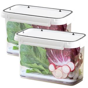 스카이락 채반용기 2500ml 2개세트 (와이드3호깔판)
