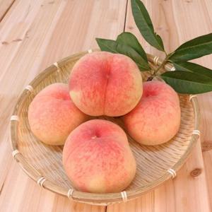 Fresh 햇살어린 의성복숭아 중과 4kg 16-22과