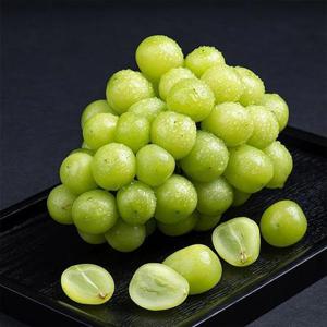 고당도 프리미엄 샤인머스켓 2.4kg (3수/특등급)