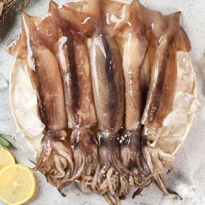 국내산 당일바리 급냉 오징어 2kg (kg당 3-5미내외)
