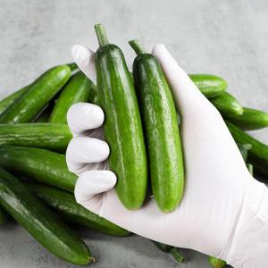 [푸른들] 아삭 미니오이 2kg