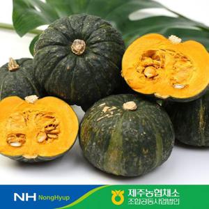 [케이쇼핑]제주농협 햇살바람 제주 미니단호박 3kg/개당 200~600g