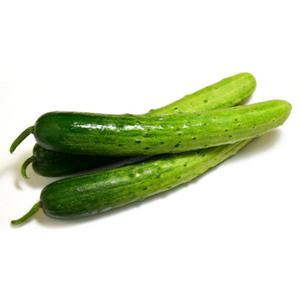 [팜쿡] 수분의 여왕 백오이(특) 2kg