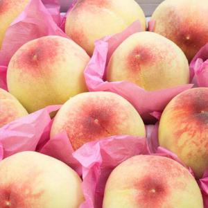 햇사레 백도복숭아 특대과 4kg(13~15과 내외)