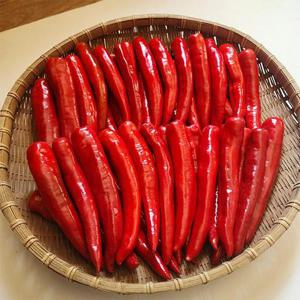 국내산 홍고추 3kg 특품 보통맛