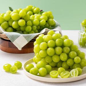*농할할인*당도선별 국내산 샤인머스켓 정품 4kg 내외(6-8수)