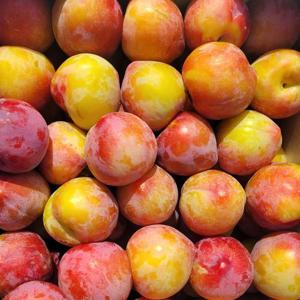 [더자인] 상큼과즙 후무사자두 2kg 특(개당 70g내외)